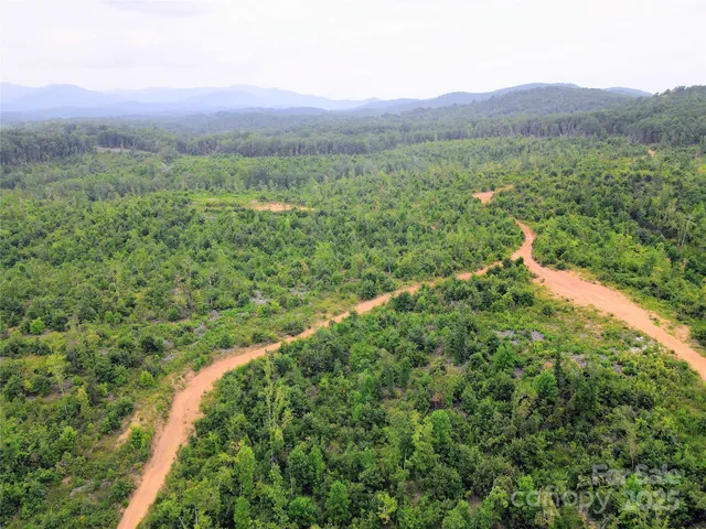 a view of a lush green outdoor space with a lake view
