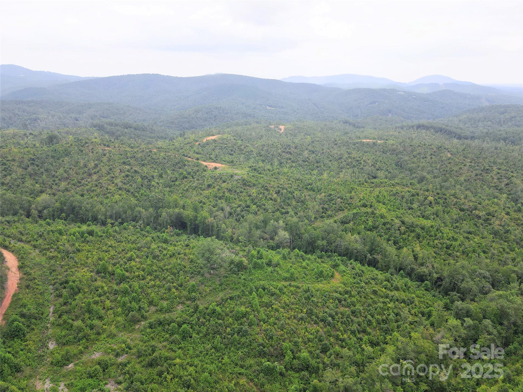V/l Youngs Creek Road Morganton, NC 28655 - Photo 2 of 7 a view of a lush green hillside and a houses