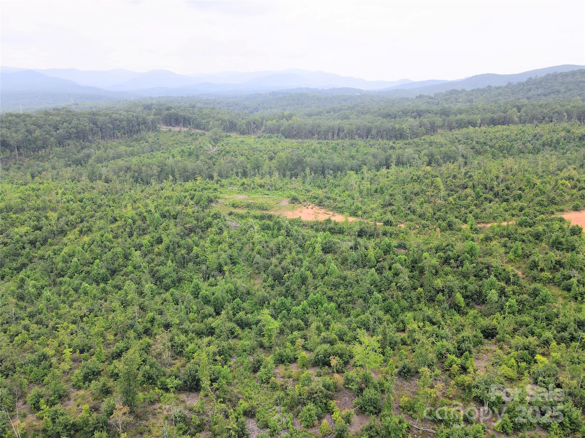V/l Youngs Creek Road Morganton, NC 28655 - Photo 3 of 7 a view of a green field with lots of bushes