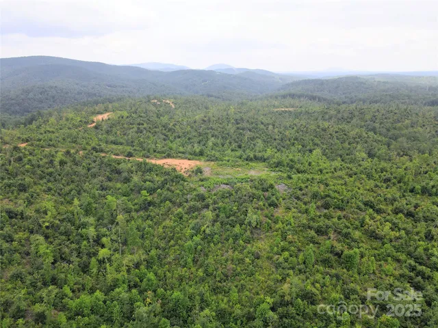 a view of a lush green hillside and a houses