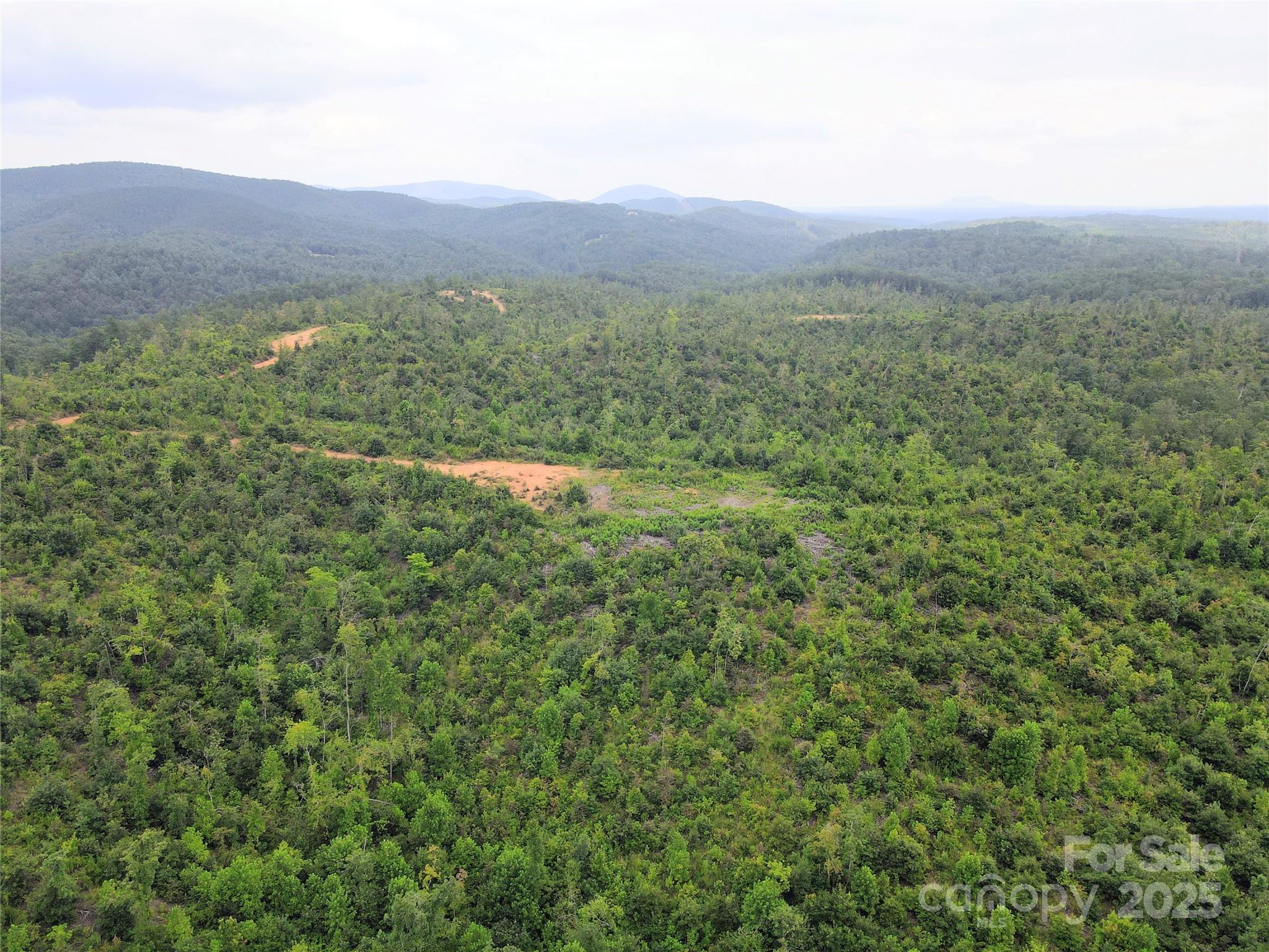 V/l Youngs Creek Road Morganton, NC 28655 - Photo 4 of 7 a view of a lush green hillside and a houses