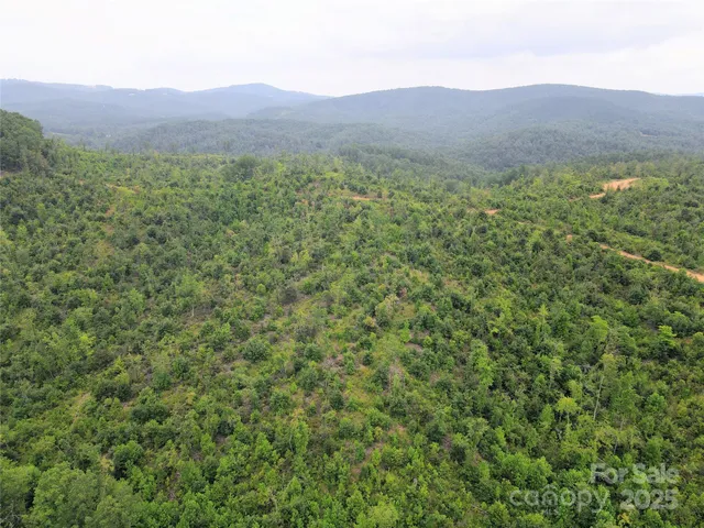 a view of a lush green hillside and a houses