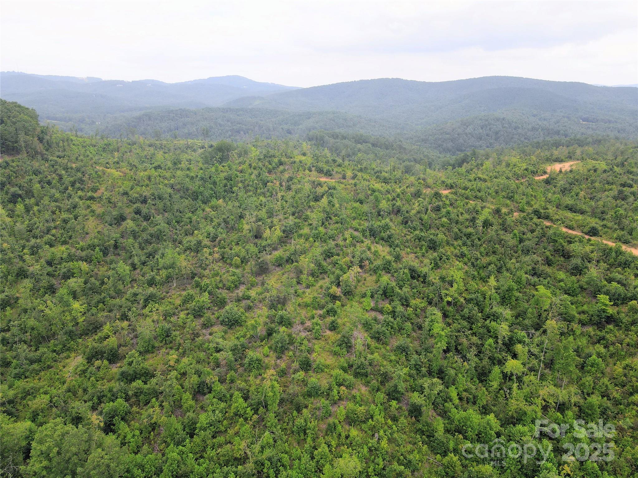 V/l Youngs Creek Road Morganton, NC 28655 - Photo 5 of 7 a view of a lush green hillside and a houses