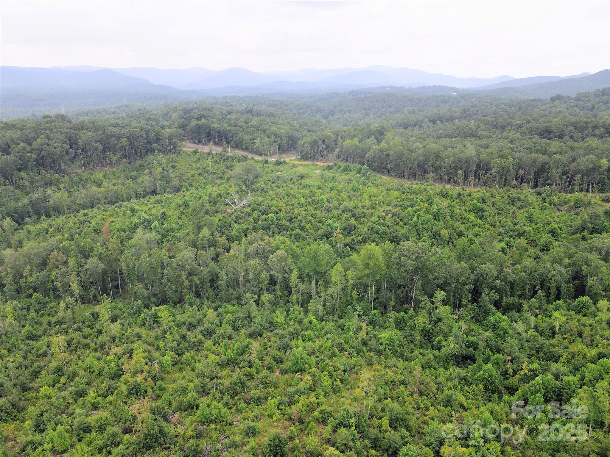 V/l Youngs Creek Road Morganton, NC 28655 - Photo 6 of 7 a view of a green field with lots of bushes