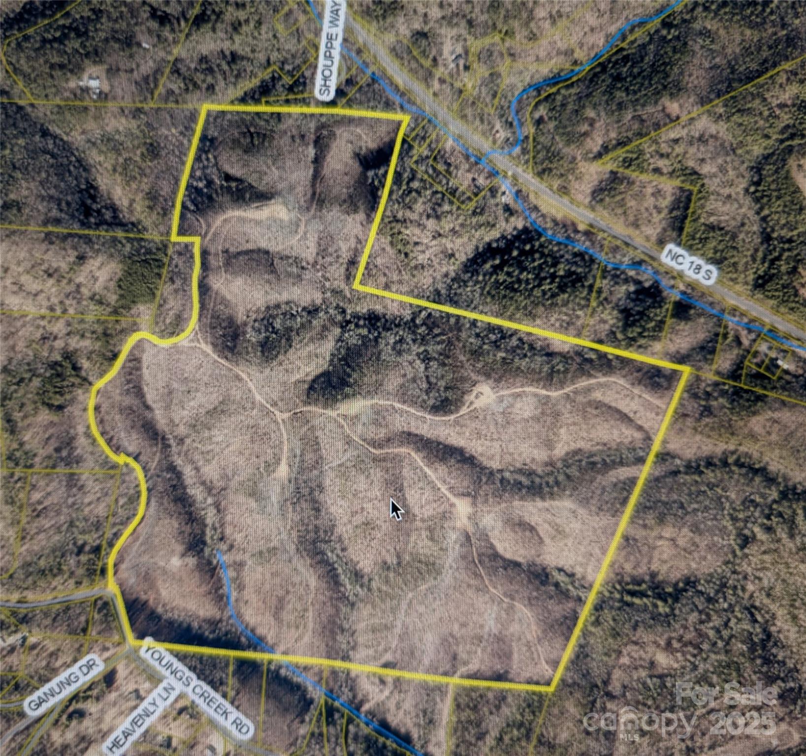 V/l Youngs Creek Road Morganton, NC 28655 - Photo 7 of 7