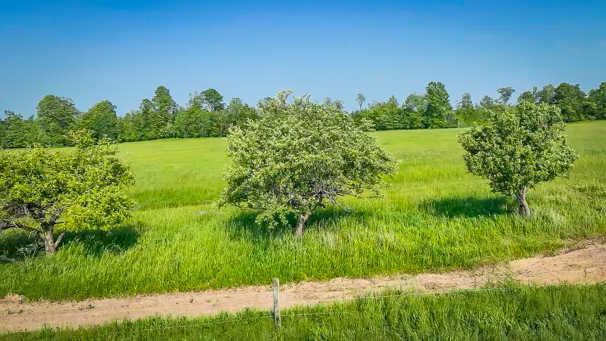 11371 East 40th Street Reed City, MI 49677 - Photo 15 of 68 dji_fly_20250611_170812_0_1750177278694_