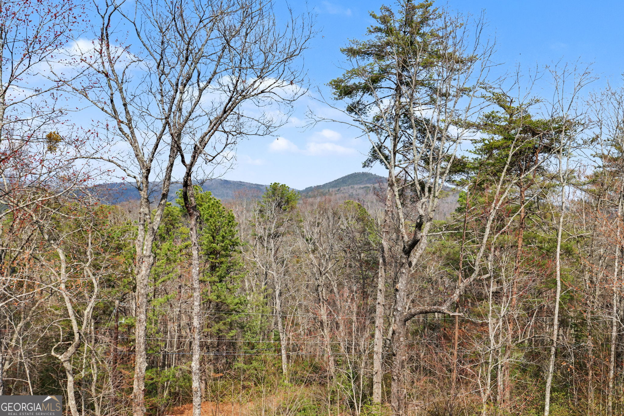 421 Hickory Nut Mountain Road Tallulah Falls, GA 30573 - Photo 30 of 117