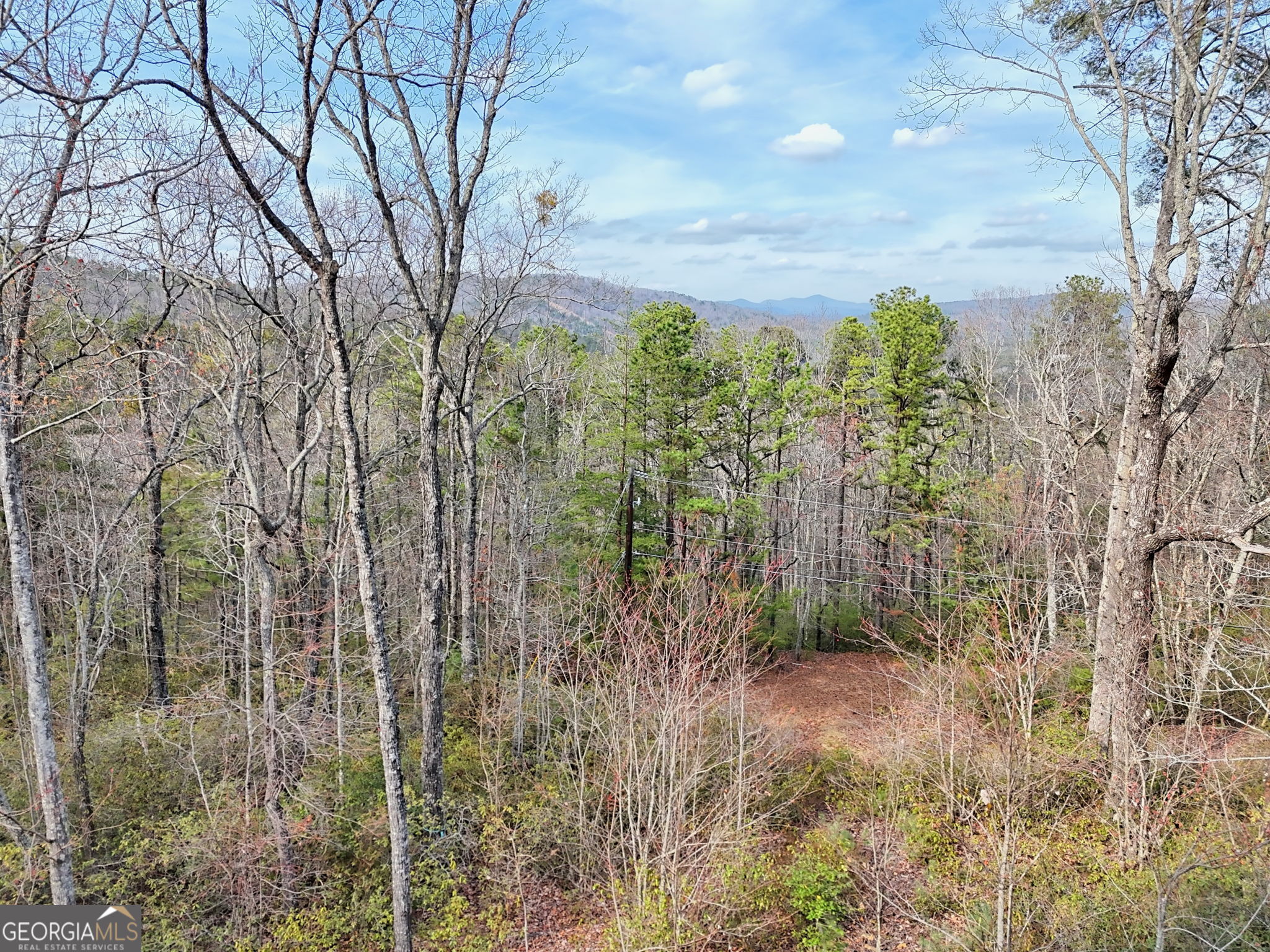421 Hickory Nut Mountain Road Tallulah Falls, GA 30573 - Photo 99 of 117