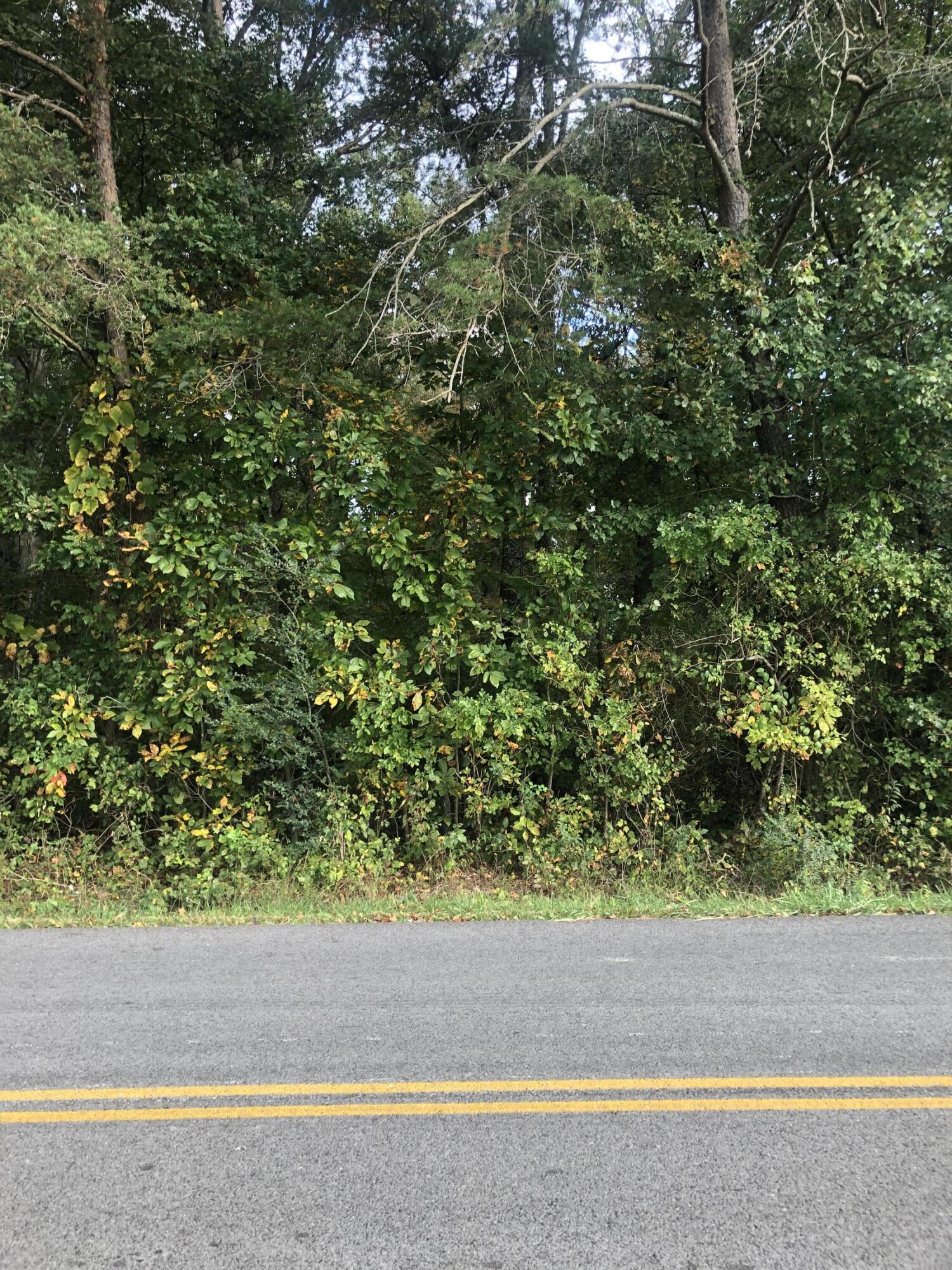 Fredonia Road Crossville, TN 38571 - Photo 1 of 2 8791605E-40B8-4DF3-9CF8-299EE743DCC7