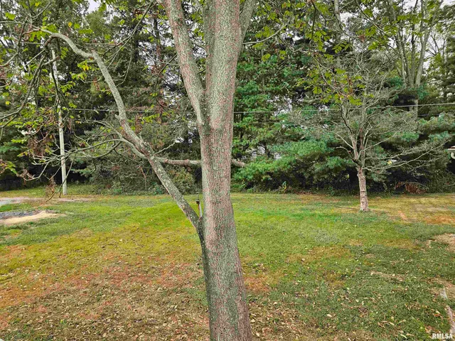 $85,000 | 611 East Meridian Street, Marion, IL 62959