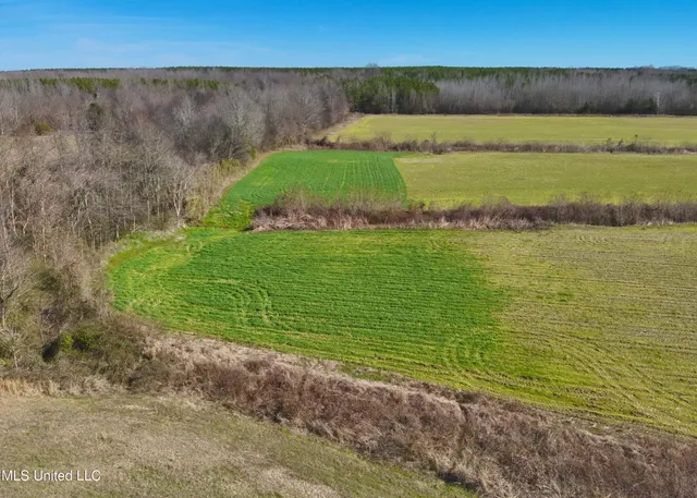 $169,500 | Springhill Road, Pickens, MS 39146