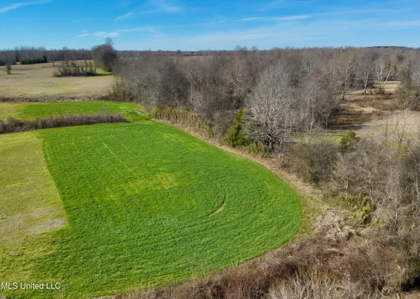 $169,500 | Springhill Road, Pickens, MS 39146