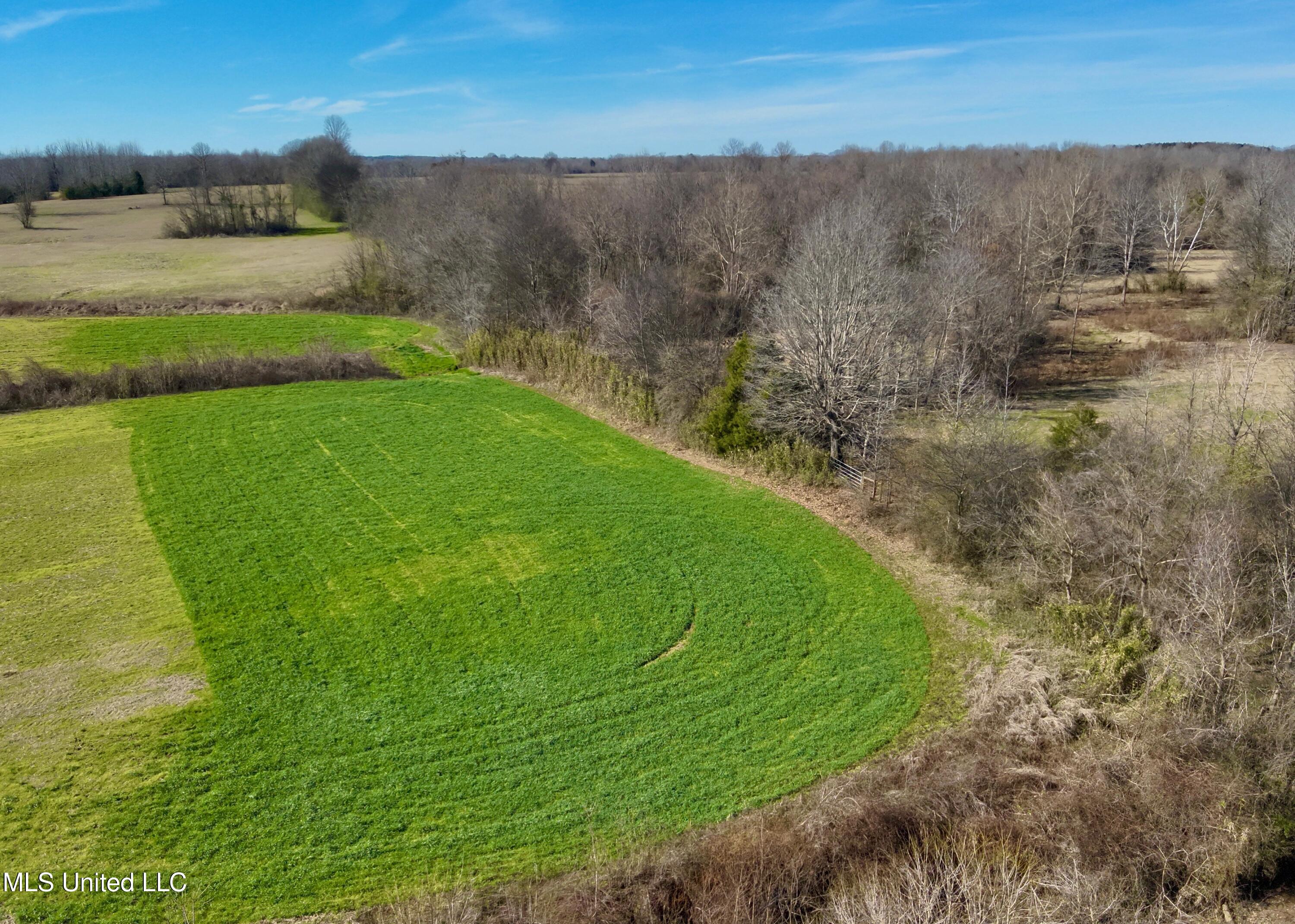Springhill Road Pickens, MS 39146 - Photo 3 of 5 DJI_20260119125953_0013_V