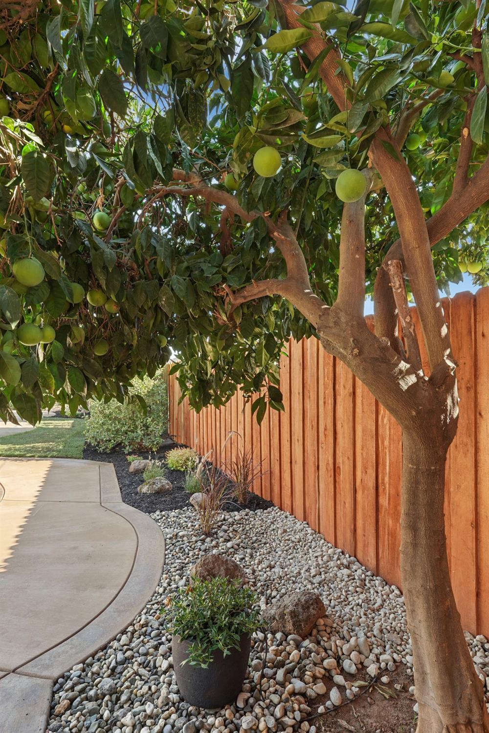 764 Adare Way Galt, CA 95632 - Photo 51 of 59