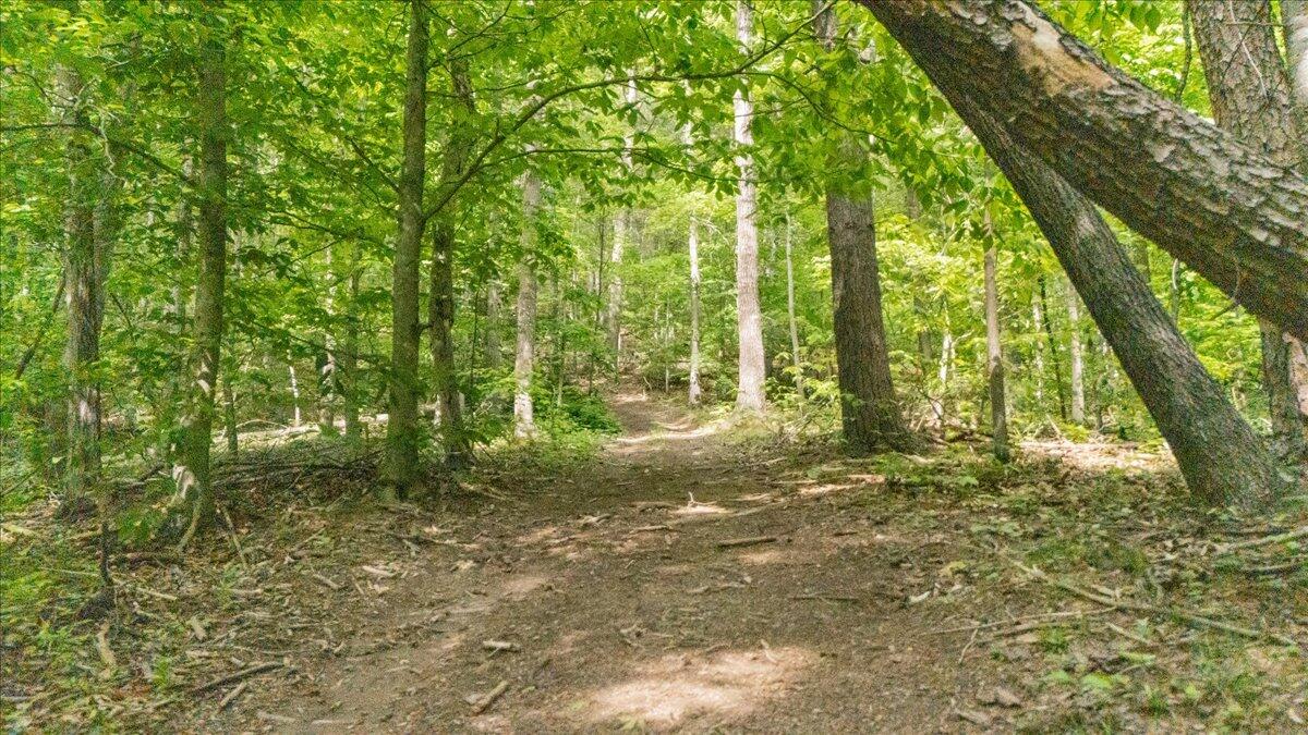 3994 Yates Road Shawsville, VA 24162 - Photo 8 of 40 31-DJI_20260516160347_0030_D