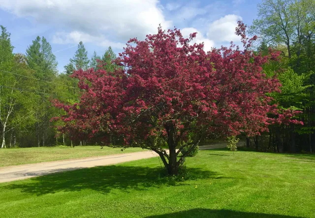 $849,000 | 35 Pinnacle Ridge Road, Meredith, NH 03269