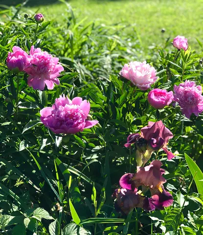 $849,000 | 35 Pinnacle Ridge Road, Meredith, NH 03269