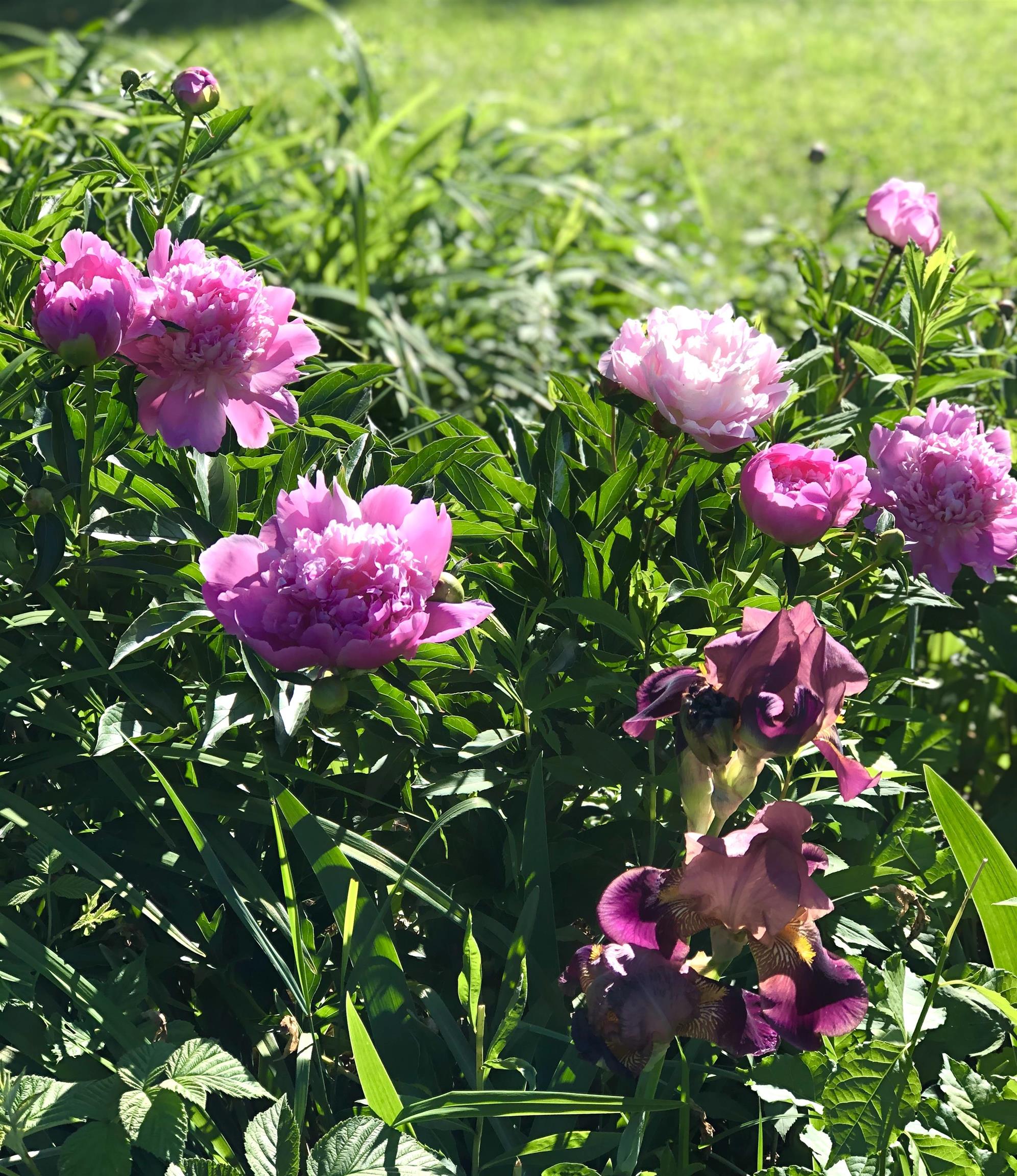 35 Pinnacle Ridge Road Meredith, NH 03269 - Photo 37 of 57