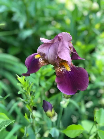 $849,000 | 35 Pinnacle Ridge Road, Meredith, NH 03269