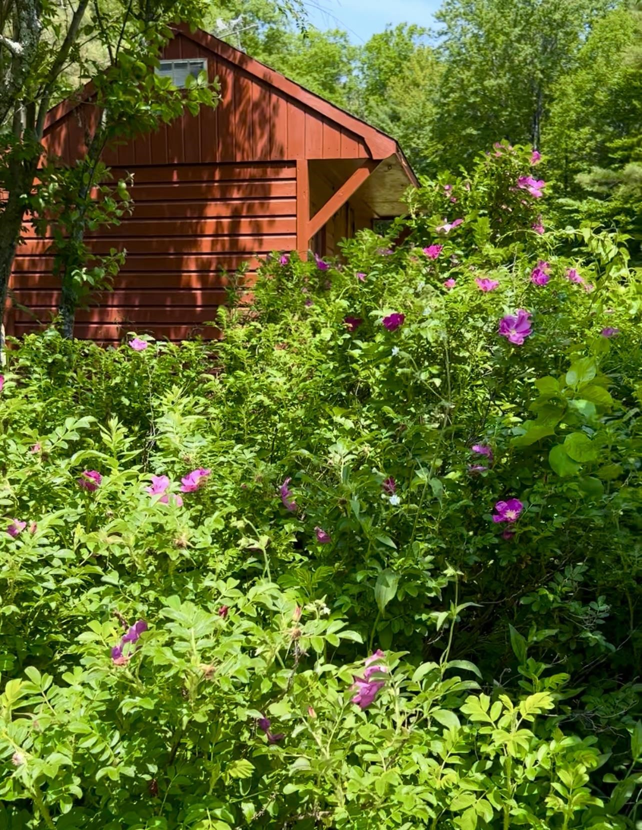 35 Pinnacle Ridge Road Meredith, NH 03269 - Photo 39 of 57