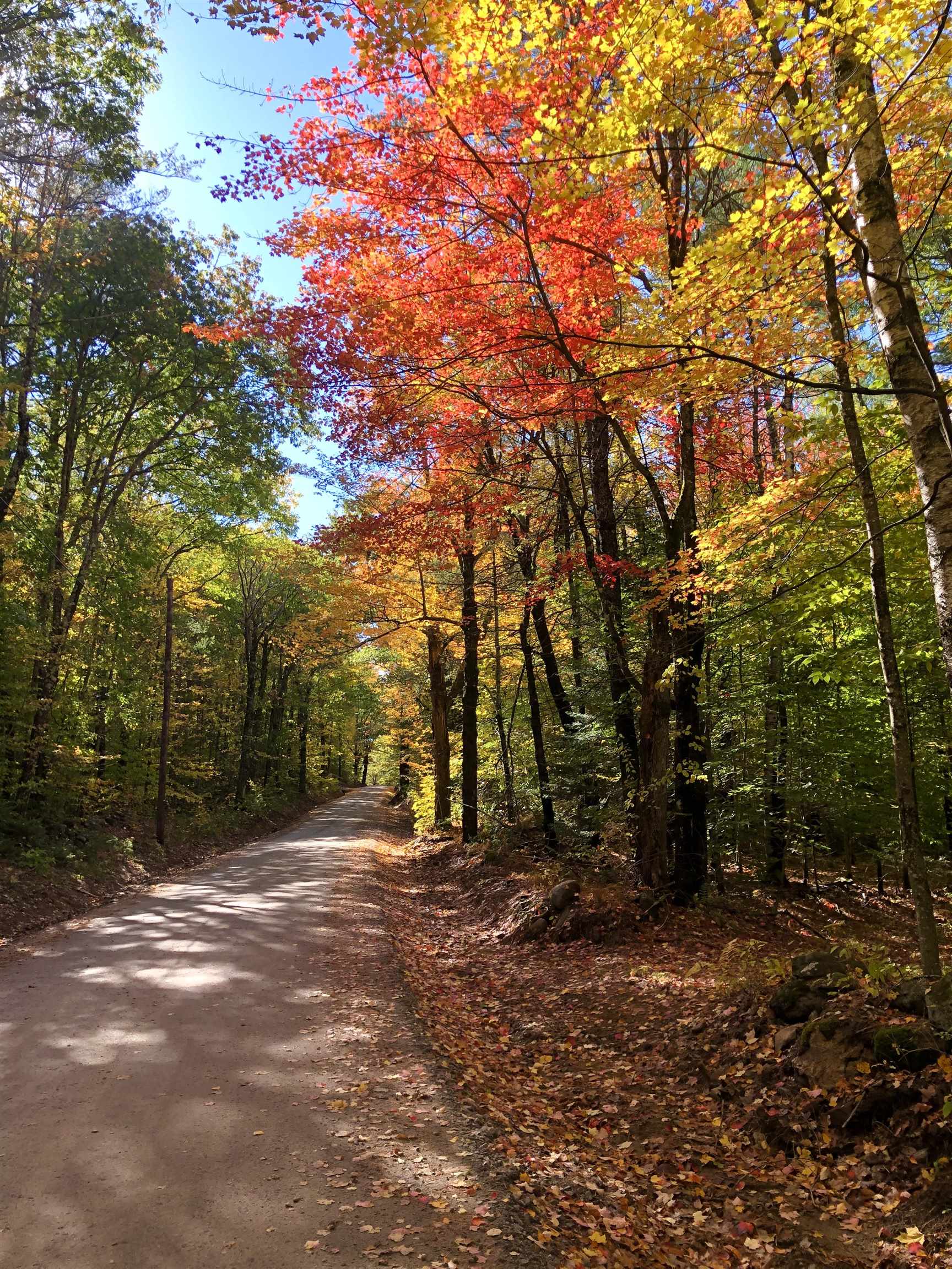 35 Pinnacle Ridge Road Meredith, NH 03269 - Photo 41 of 57