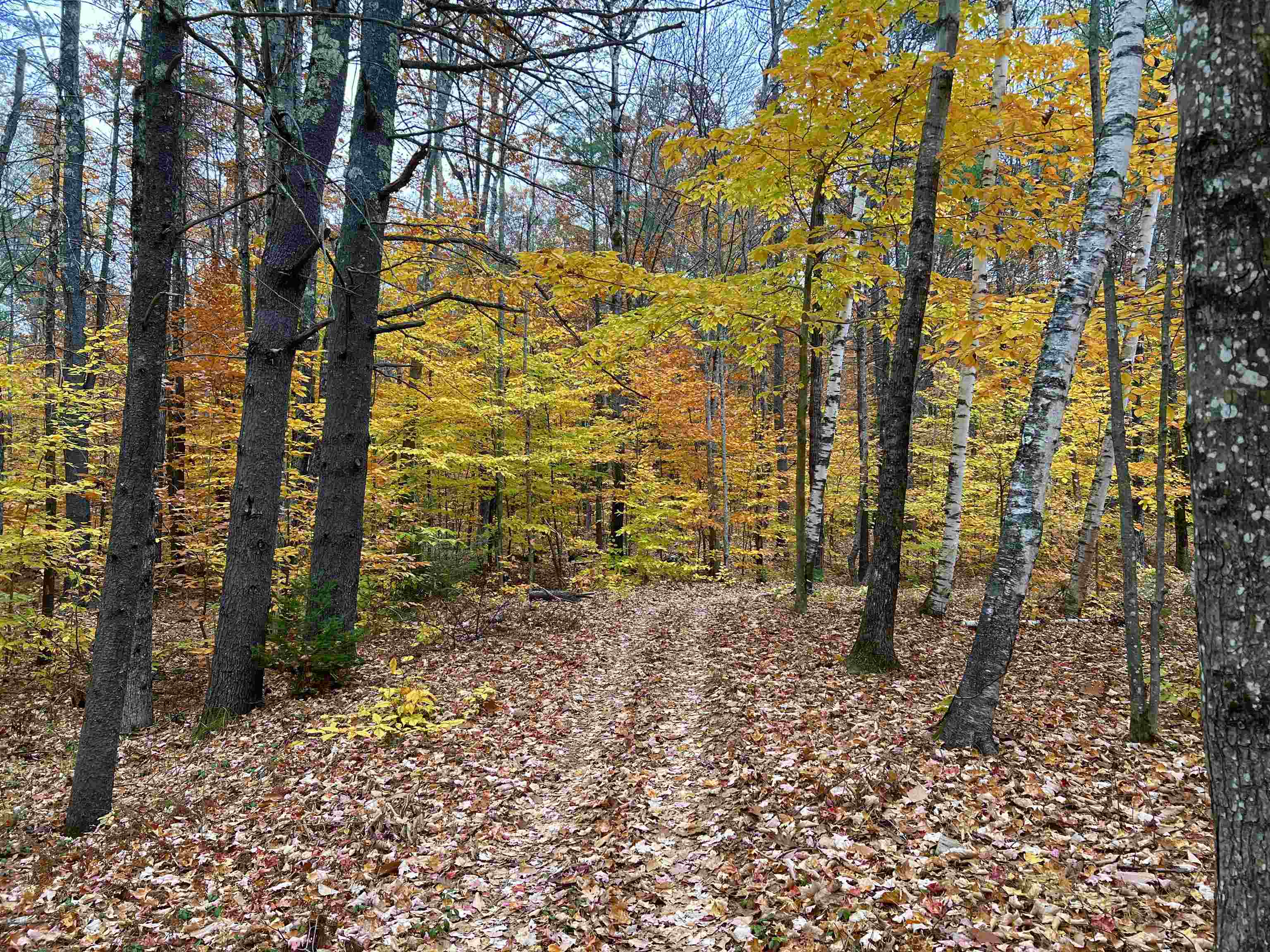 35 Pinnacle Ridge Road Meredith, NH 03269 - Photo 44 of 57