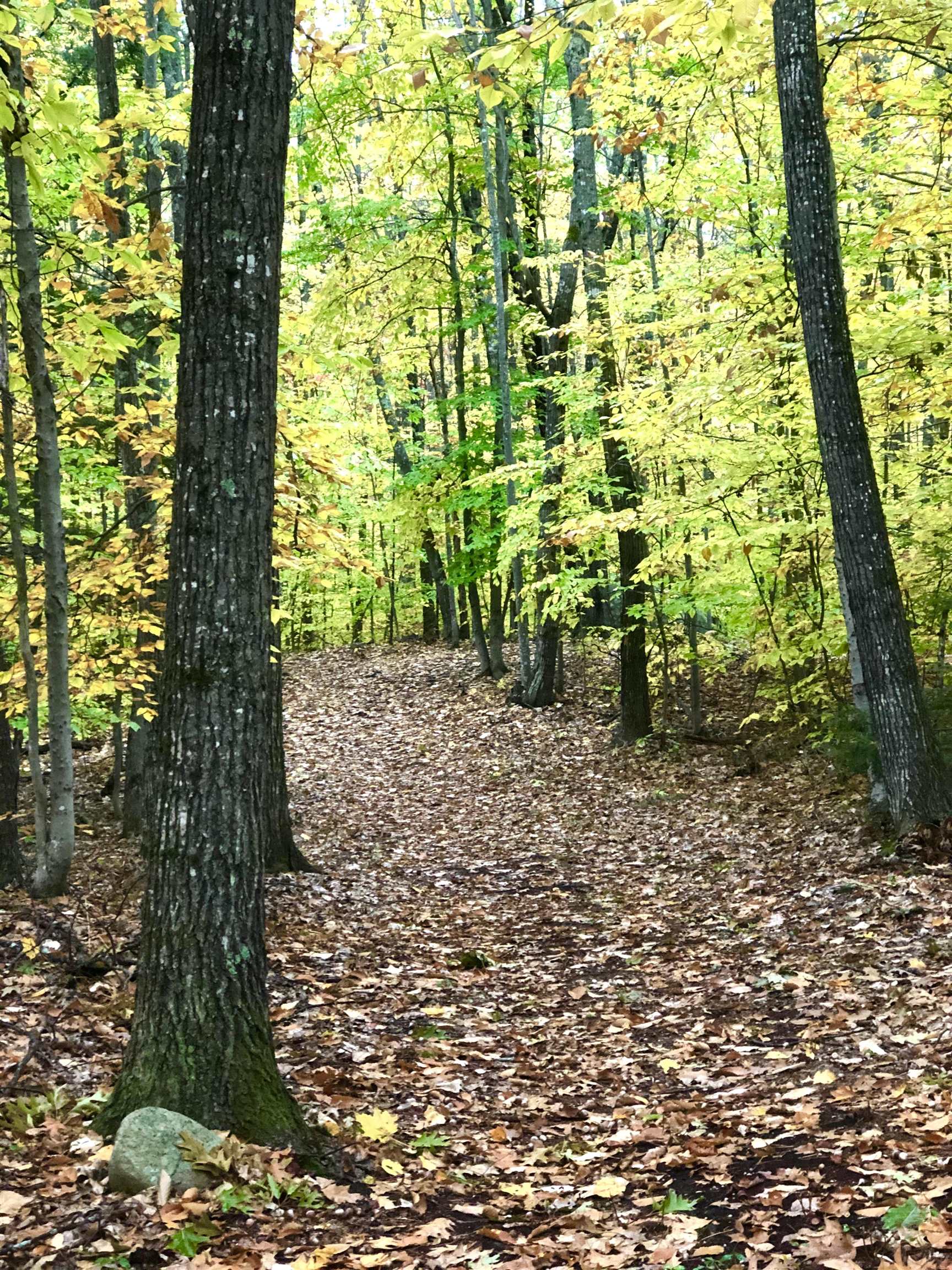 35 Pinnacle Ridge Road Meredith, NH 03269 - Photo 50 of 57