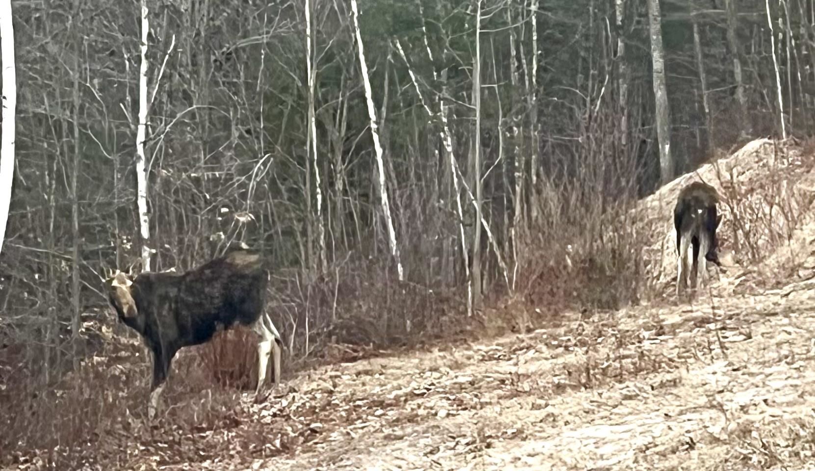 35 Pinnacle Ridge Road Meredith, NH 03269 - Photo 53 of 57
