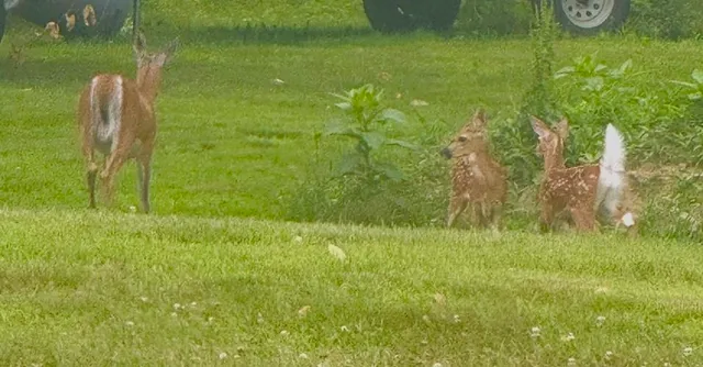 $849,000 | 35 Pinnacle Ridge Road, Meredith, NH 03269