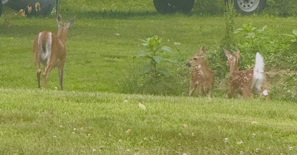 35 Pinnacle Ridge Road Meredith, NH 03269 - Photo 54 of 57