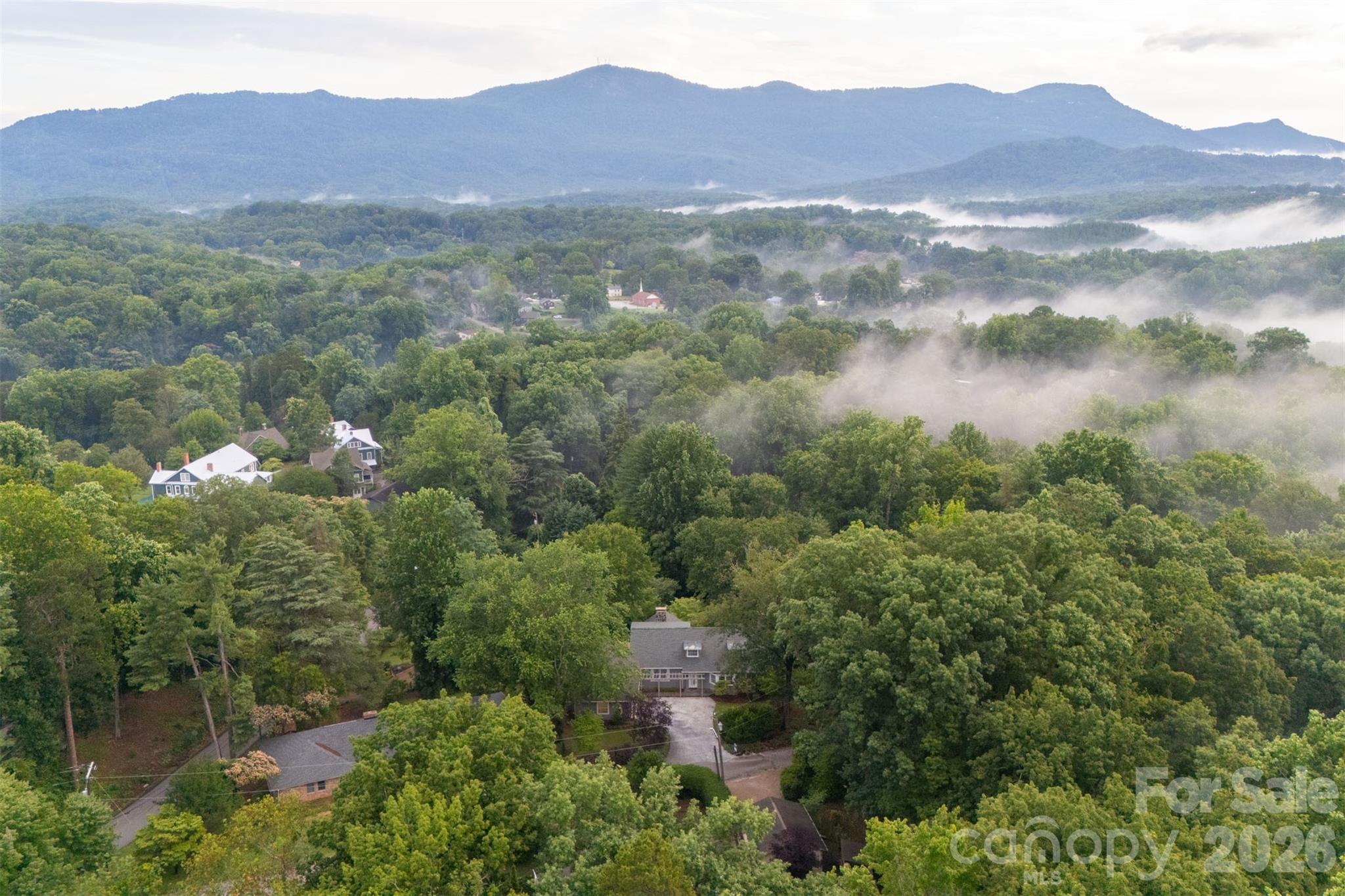55 1st Street Tryon, NC 28782 - Photo 30 of 39