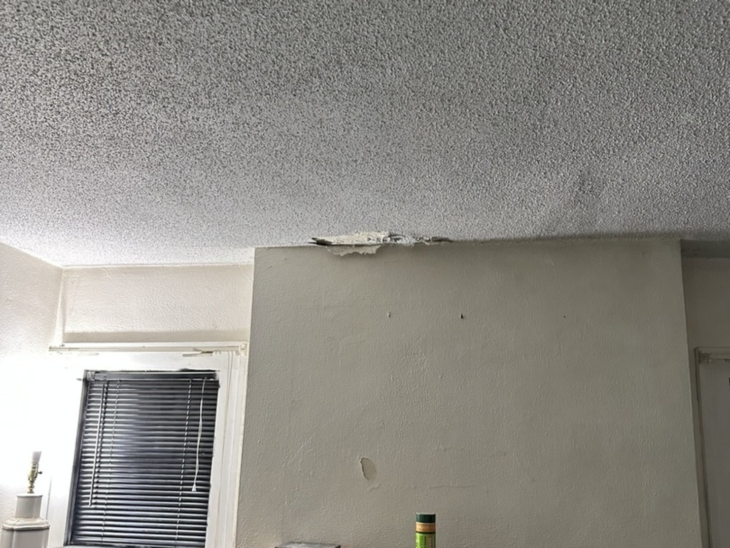 729 South 22nd Street Decatur, IL 62521 - Photo 13 of 22 a view of a livingroom with closet