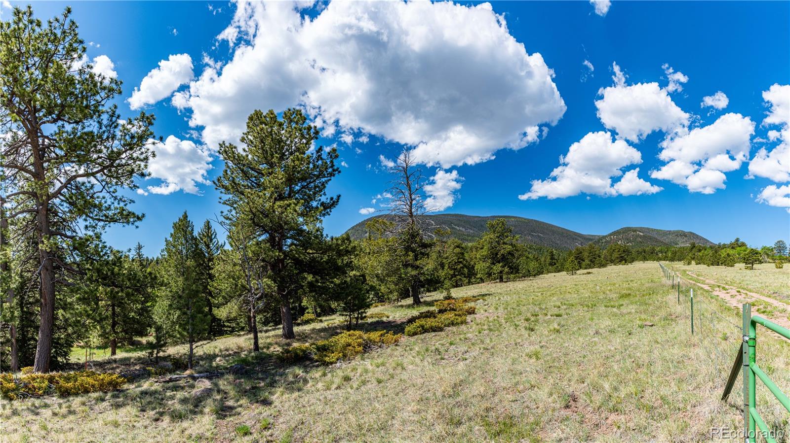 298 Steven Road Canon City, CO 81212 - Photo 30 of 35
