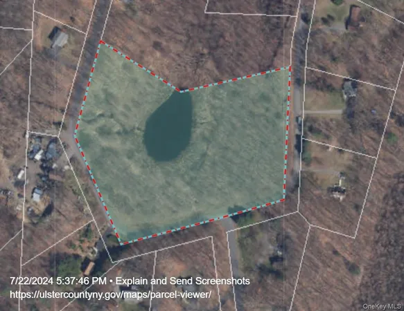 a view of a field with plants and trees