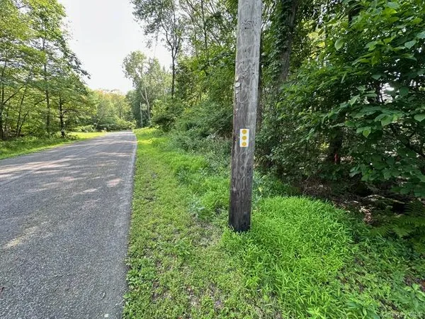 a view of street with lush green forest