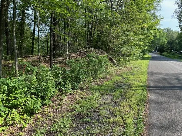 a view of a field with plants and trees