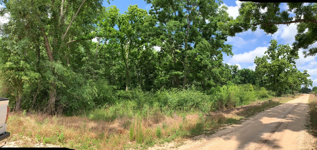 0 Corinth Road Slocomb, AL 36375 - Photo 9 of 11