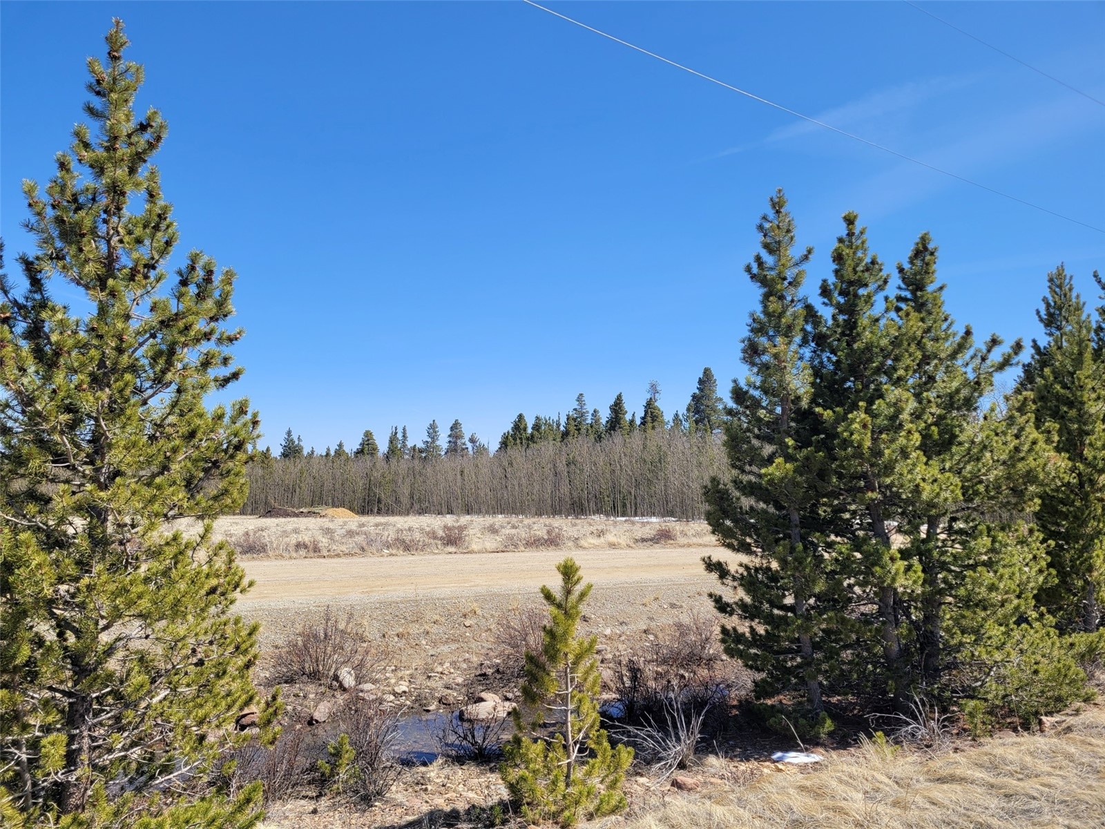 395 Wild Rye Road Fairplay, CO 80440 - Photo 6 of 20 Gallery Image 6