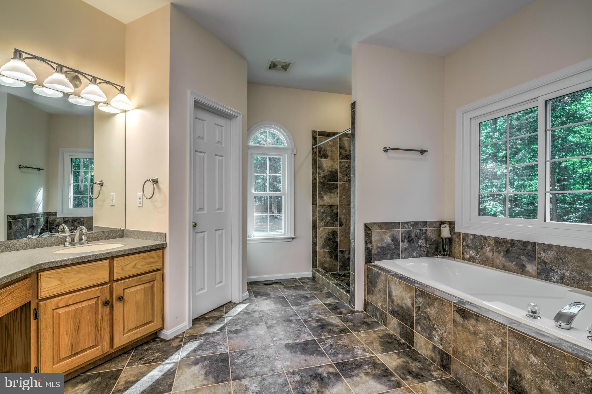 6042 Varzara Road Marshall, VA 20115 - Photo 15 of 30 Bath (Master)