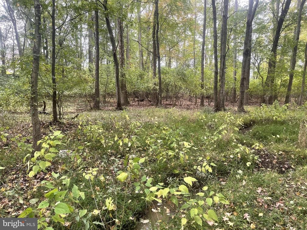 465 Tomlin Station Road Mullica Hill, NJ 08062 - Photo 11 of 23