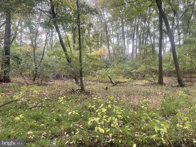 a view of outdoor space and trees