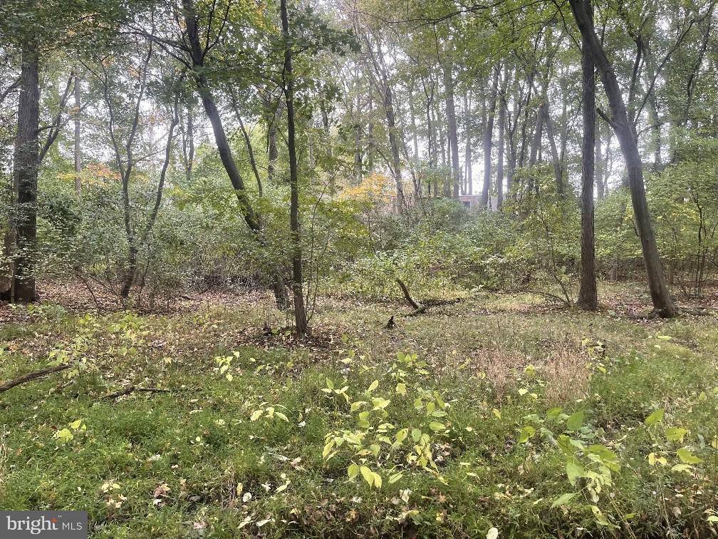 465 Tomlin Station Road Mullica Hill, NJ 08062 - Photo 12 of 23