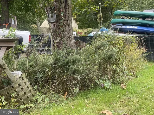 a view of a backyard with trees