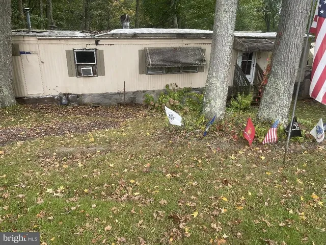 a view of a forest that has large trees