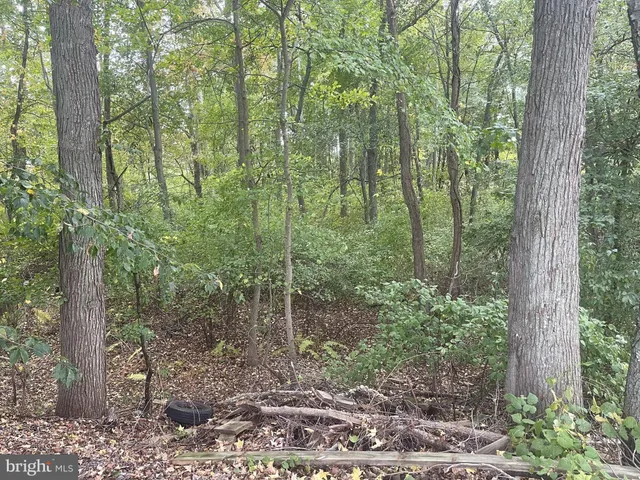 a view of a deck in the backyard