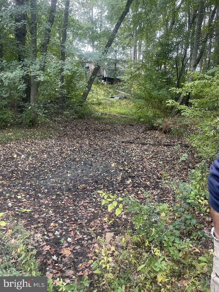 465 Tomlin Station Road Mullica Hill, NJ 08062 - Photo 9 of 23