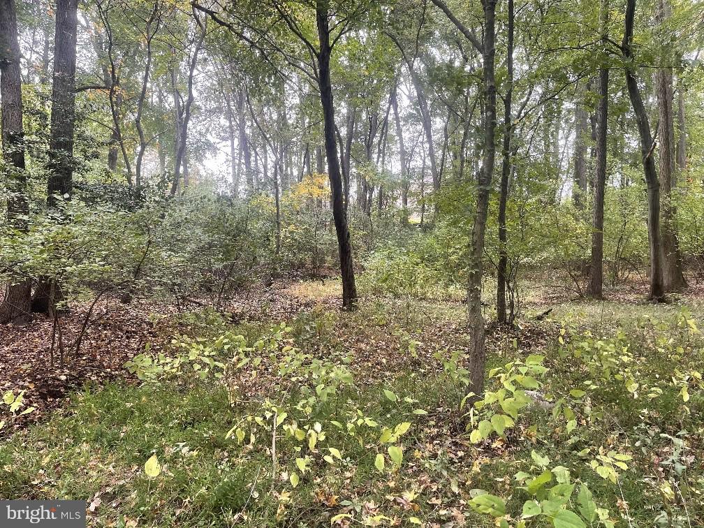 465 Tomlin Station Road Mullica Hill, NJ 08062 - Photo 10 of 23