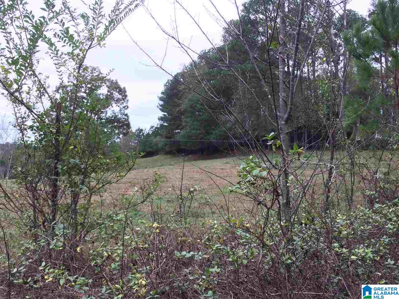Page Spring Road, Unit 4 Arab, AL 35016 - Photo 27 of 29