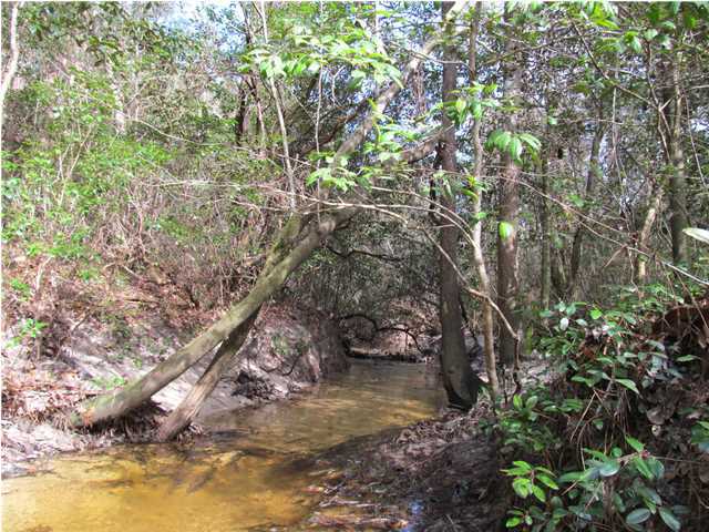 23-ac Cosson Road DeFuniak Springs, FL 32435 - Photo 3 of 14 Additional Photo
