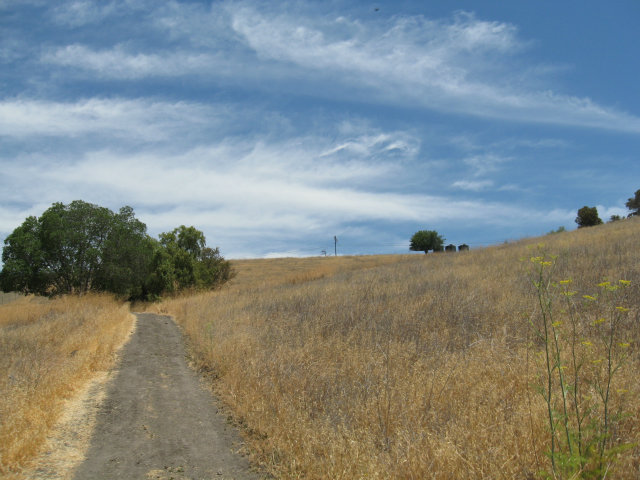 0 Pedro View Road San Jose, CA 95140 - Photo 7 of 7 Gallery Image 7